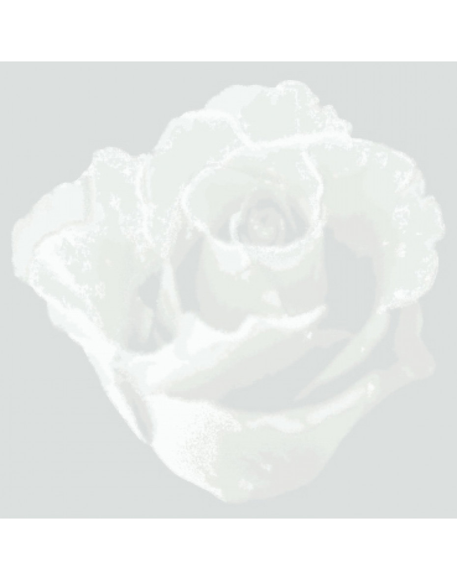 Tapeta-obraz 102773 ruža strieborná 1 ks 0,53 x 0,53 m